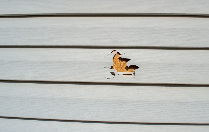 Vinyl Siding Repair - Image 5