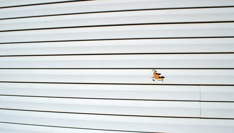 Vinyl Siding Repair Installation - Image 2